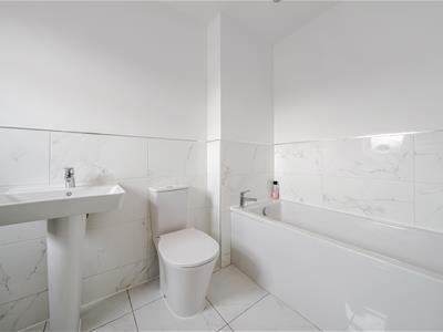 Picture 21
